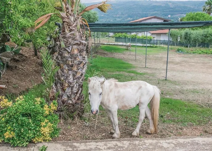 Casa Tulipano * Ricadi