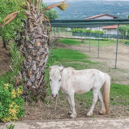 Casa Tulipano * Ricadi